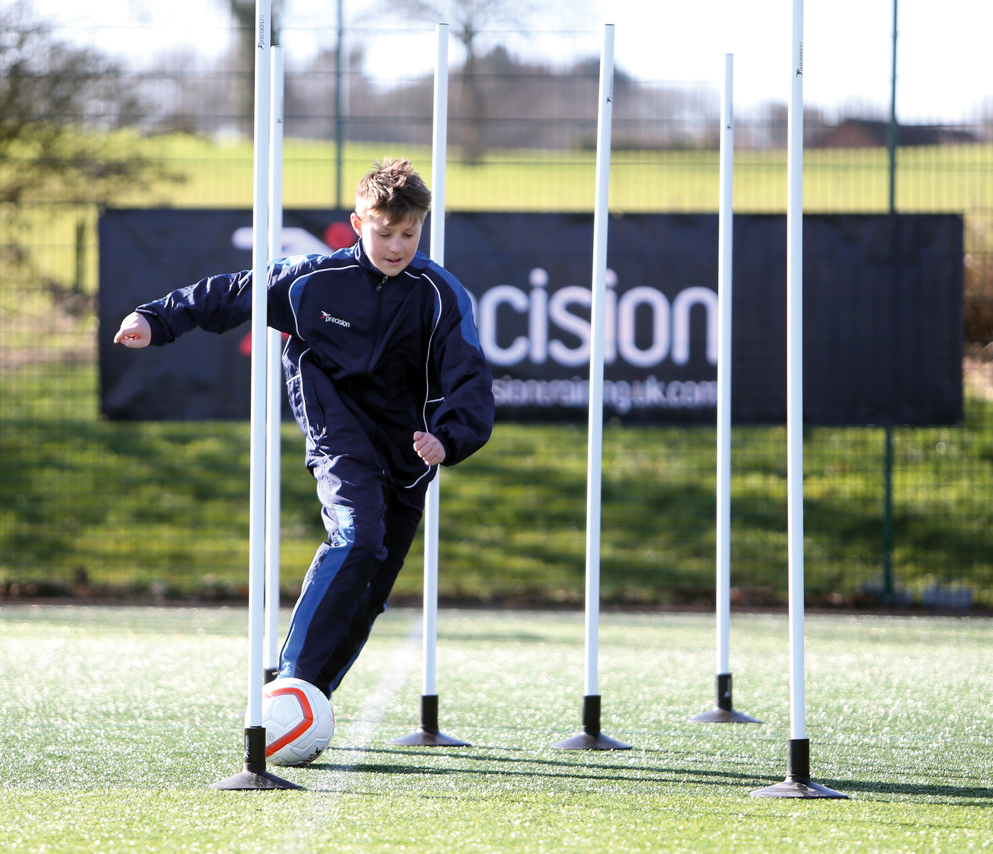 Precision Boundary Poles Set of 12